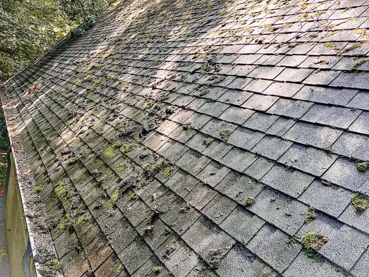  image of Roof Tile Washing Knoxville | pure clean knoxville 