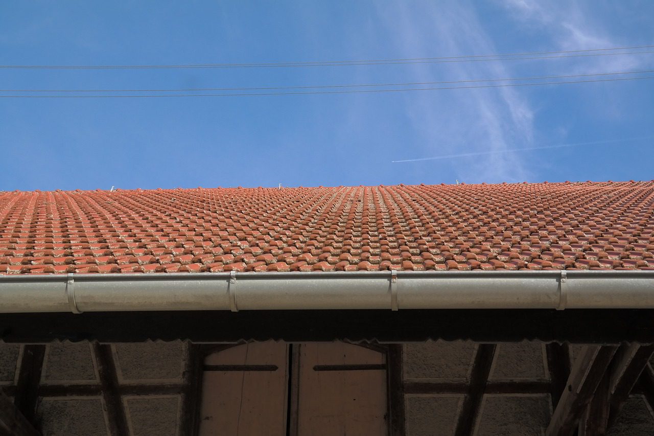 roof cleaning with gutter cleeaned