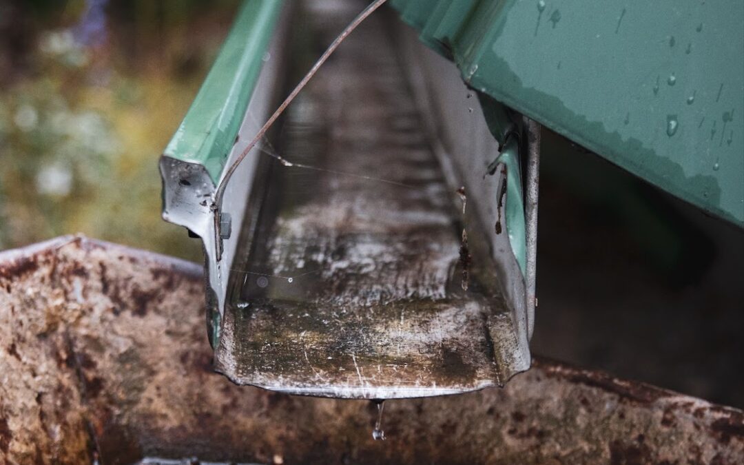 Gutter cleaning_PureClean